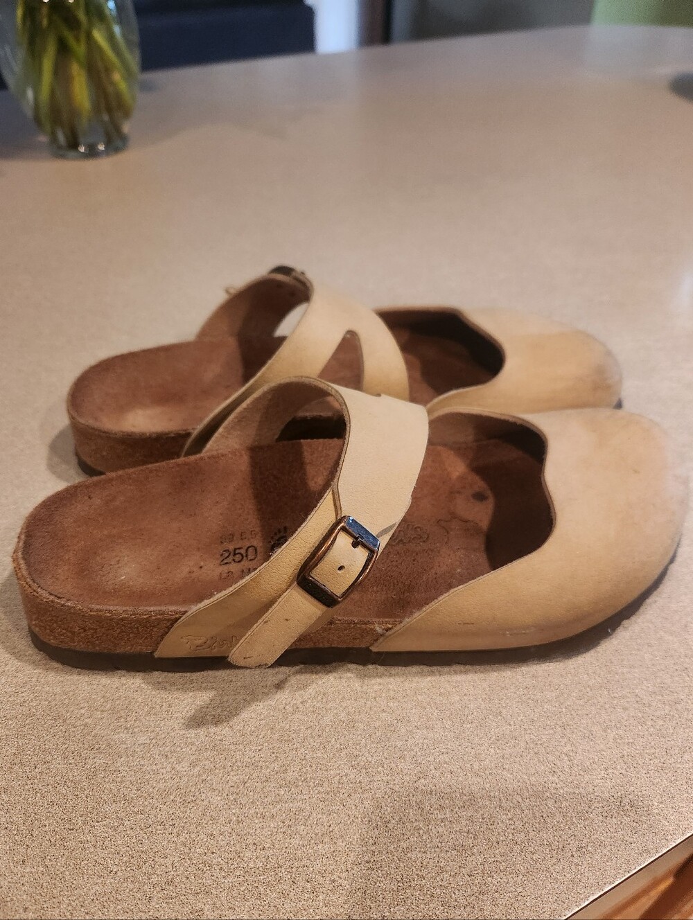 Birkenstock- Beige Slip-On Buckled Clog Sandals
